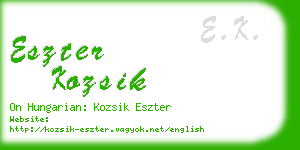 eszter kozsik business card